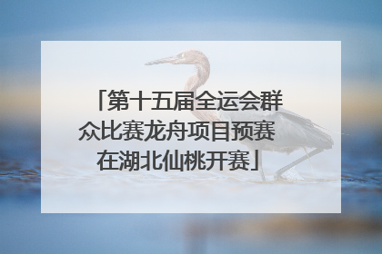 第十五届全运会群众比赛龙舟项目预赛在湖北仙桃开赛