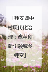 翔安城中村现代化治理：改革创新引领城乡蝶变