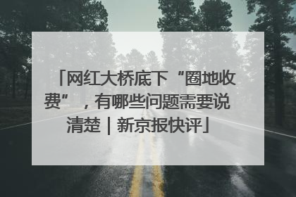 网红大桥底下“圈地收费”，有哪些问题需要说清楚｜新京报快评