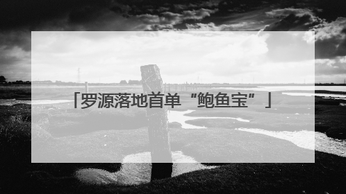 罗源落地首单“鲍鱼宝”