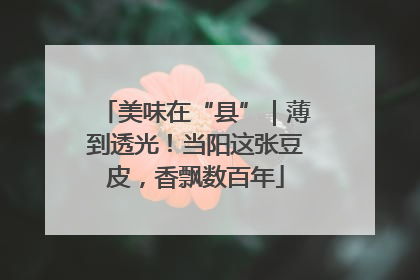美味在“县”｜薄到透光！当阳这张豆皮，香飘数百年