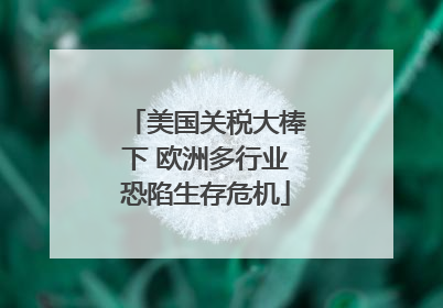 美国关税大棒下 欧洲多行业恐陷生存危机