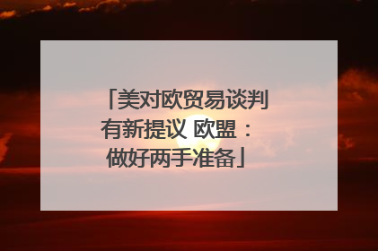 美对欧贸易谈判有新提议 欧盟：做好两手准备