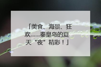 美食、海景、狂欢……秦皇岛的夏天“夜”精彩！
