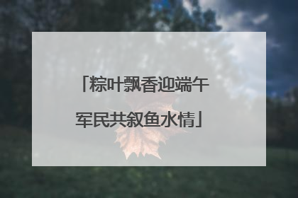 粽叶飘香迎端午 军民共叙鱼水情