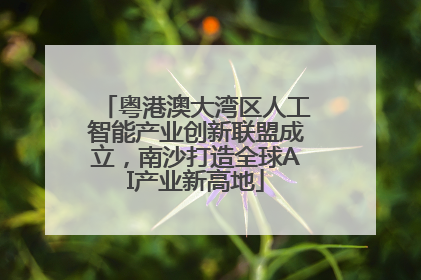 粤港澳大湾区人工智能产业创新联盟成立，南沙打造全球AI产业新高地
