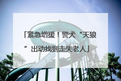紧急增援！警犬“天狼”出动找到走失老人