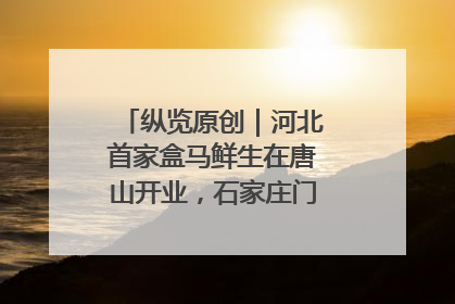 纵览原创｜河北首家盒马鲜生在唐山开业，石家庄门店预计8月开业