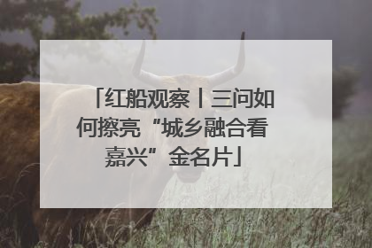 红船观察丨三问如何擦亮“城乡融合看嘉兴”金名片