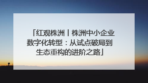 红观株洲丨株洲中小企业数字化转型：从试点破局到生态重构的进阶之路