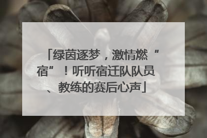 绿茵逐梦，激情燃“宿”！听听宿迁队队员、教练的赛后心声
