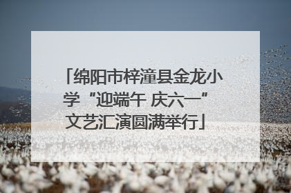 绵阳市梓潼县金龙小学“迎端午 庆六一”文艺汇演圆满举行