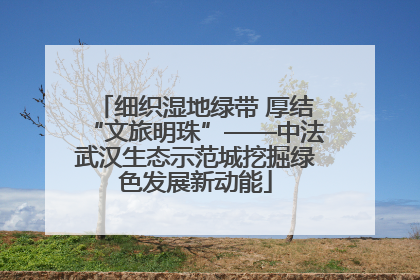 细织湿地绿带 厚结“文旅明珠”——中法武汉生态示范城挖掘绿色发展新动能