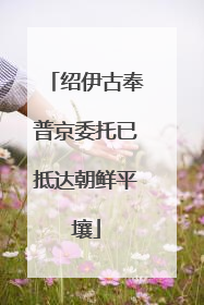 绍伊古奉普京委托已抵达朝鲜平壤
