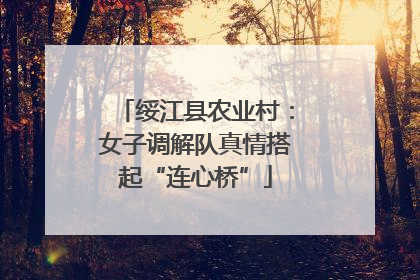 绥江县农业村：女子调解队真情搭起“连心桥”