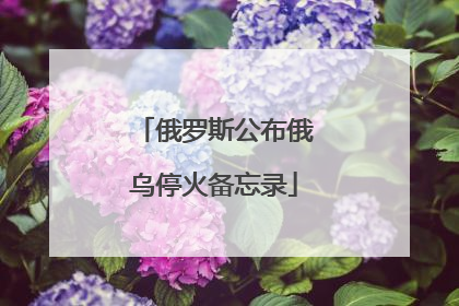 俄罗斯公布俄乌停火备忘录