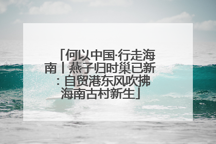 何以中国·行走海南丨燕子归时巢已新：自贸港东风吹拂 海南古村新生