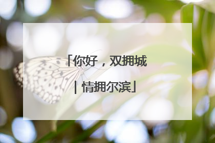 你好，双拥城｜情拥尔滨