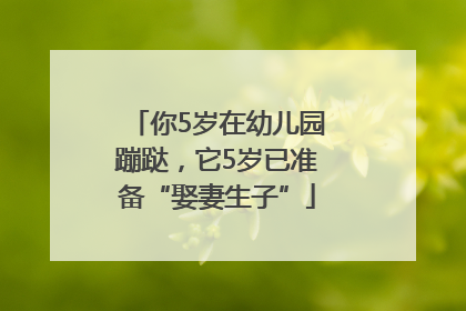 你5岁在幼儿园蹦跶，它5岁已准备“娶妻生子”
