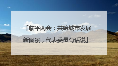 临平两会：共绘城市发展新图景，代表委员有话说