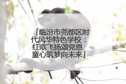 临汾市尧都区时代风华特色学校：红歌飞扬颂党恩 童心筑梦向未来