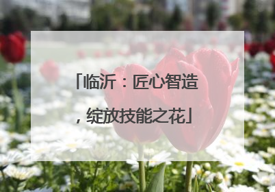 临沂：匠心智造，绽放技能之花