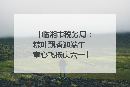临湘市税务局：粽叶飘香迎端午 童心飞扬庆六一