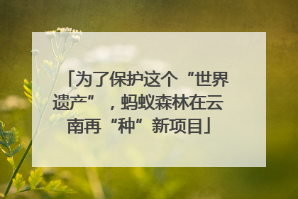 为了保护这个“世界遗产”，蚂蚁森林在云南再“种”新项目