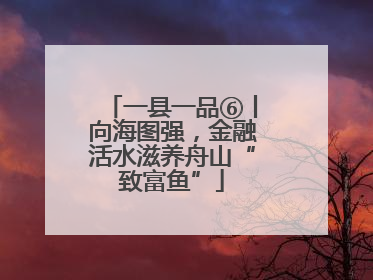 一县一品⑥丨向海图强，金融活水滋养舟山“致富鱼”