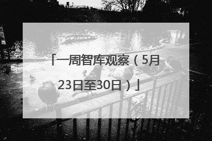 一周智库观察（5月23日至30日）