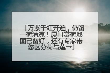 万紫千红开遍，仍留一荷清凉！厦门赏荷地图已备好，还有专家带您区分荷与莲→