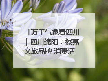 万千气象看四川｜四川绵阳：擦亮文旅品牌 消费活力继续释放