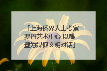 上海侨界人士考察罗丹艺术中心 以雕塑为媒促文明对话