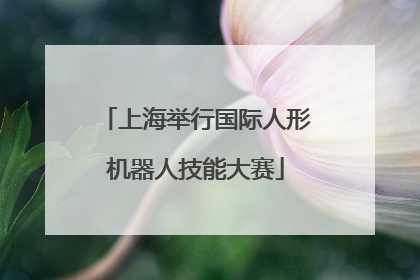上海举行国际人形机器人技能大赛