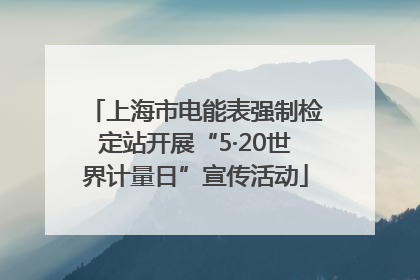 上海市电能表强制检定站开展“5·20世界计量日”宣传活动