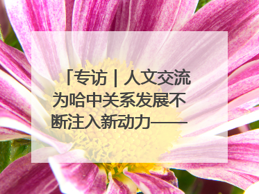 专访｜人文交流为哈中关系发展不断注入新动力——访哈萨克斯坦文化与信息部部长巴拉耶娃