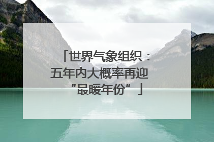 世界气象组织：五年内大概率再迎“最暖年份”
