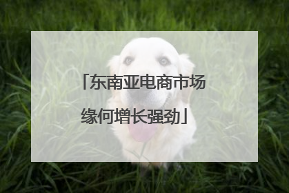 东南亚电商市场缘何增长强劲