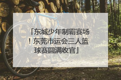 东城少年制霸赛场！东莞市运会三人篮球赛圆满收官