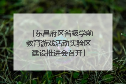 东昌府区省级学前教育游戏活动实验区建设推进会召开