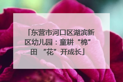 东营市河口区湖滨新区幼儿园：童耕“棉”田 “花”开成长