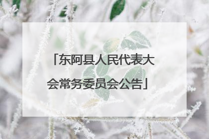 东阿县人民代表大会常务委员会公告