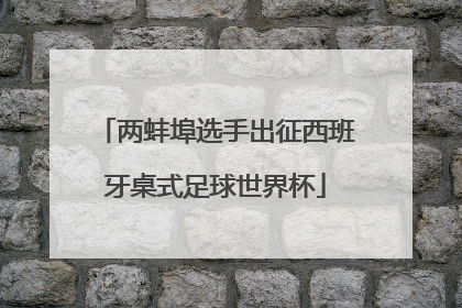 两蚌埠选手出征西班牙桌式足球世界杯