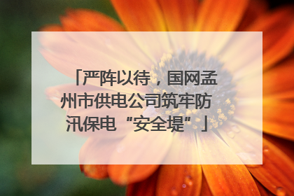 严阵以待，国网孟州市供电公司筑牢防汛保电“安全堤”
