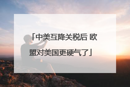 中美互降关税后 欧盟对美国更硬气了