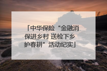 中华保险“金融消保进乡村 送检下乡护春耕”活动纪实