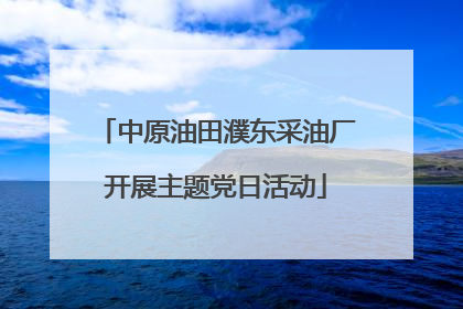 中原油田濮东采油厂开展主题党日活动