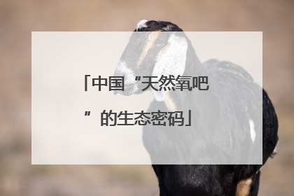 中国“天然氧吧”的生态密码