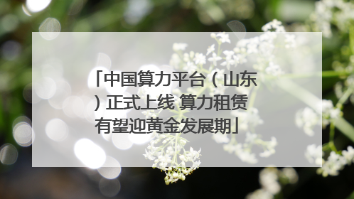 中国算力平台（山东）正式上线 算力租赁有望迎黄金发展期