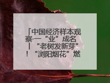 中国经济样本观察·一“业”成名丨“老树发新芽”！“浏阳烟花”燃亮世界